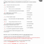 11 1 Describing Chemical Reactions Worksheet Answers Worksheet