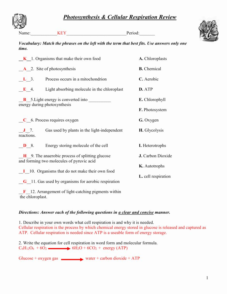 11 1 Describing Chemical Reactions Worksheet Answers Worksheet