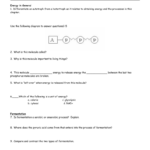 2 Cellular Respiration Worksheet