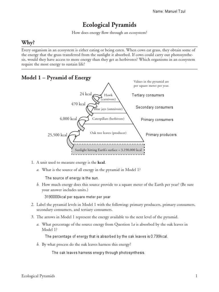 20 Ecosystem Worksheet Answer Key Worksheet From Home