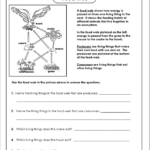 3 3 Energy Flow In Ecosystems Worksheet Answer Key Dmodesignstudio