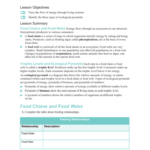 3 3 Energy Flow In Ecosystems Worksheet Answers Db excel