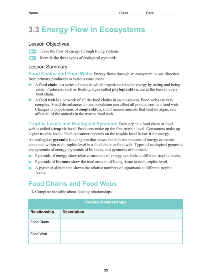 3 3 Energy Flow In Ecosystems Worksheet Answers Db excel