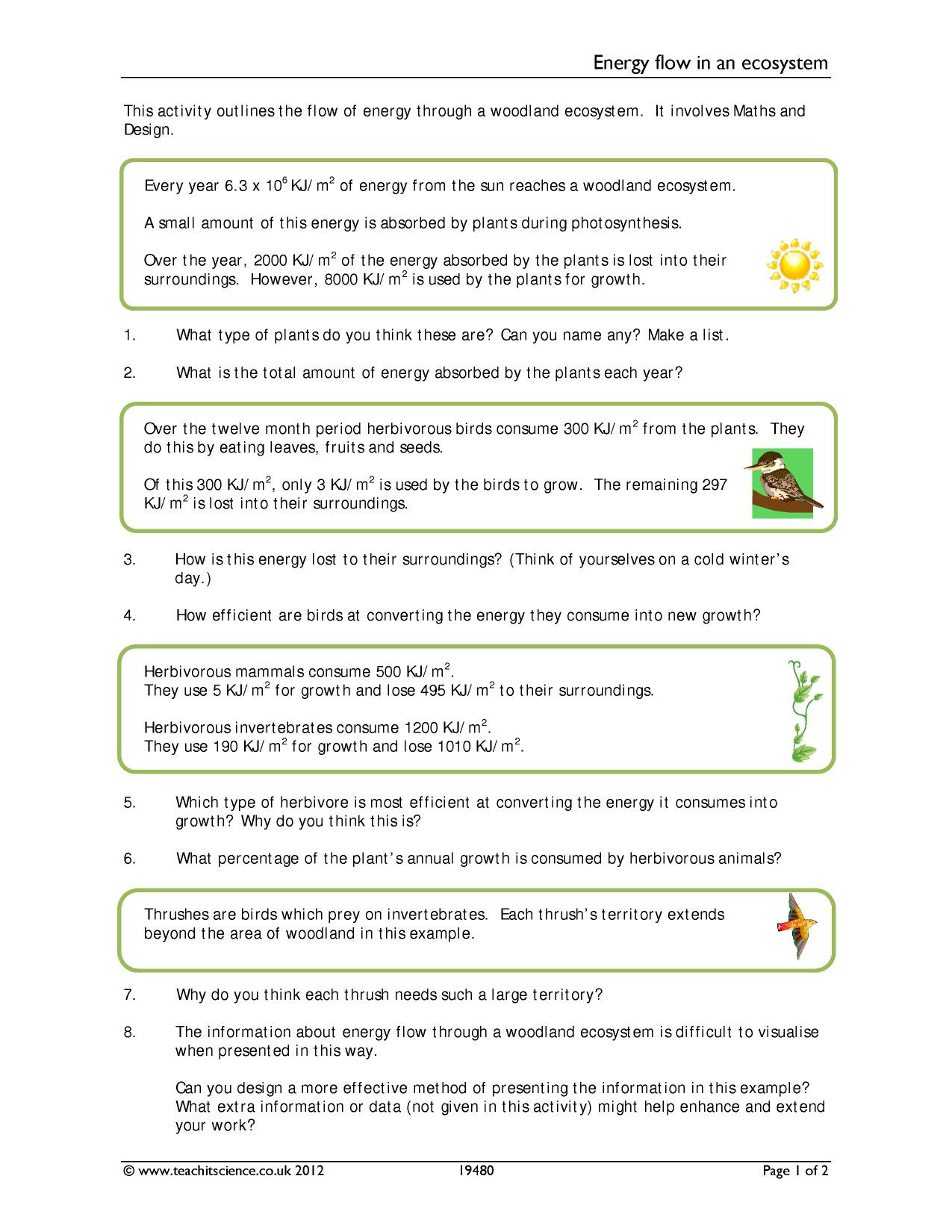 30 Energy Flow Worksheet Answers Education Template