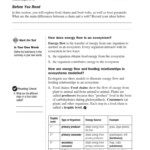 30 Energy Flow Worksheet Answers Education Template