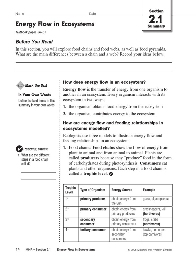 30 Energy Flow Worksheet Answers Education Template