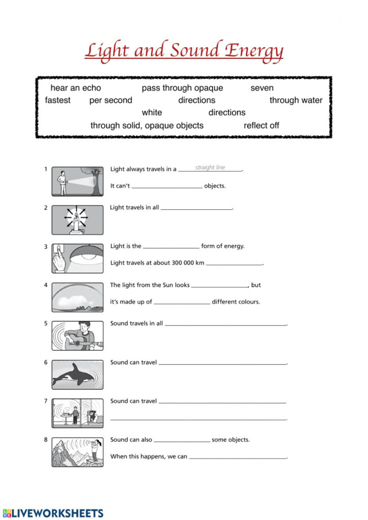 31 Energy Forms And Changes Worksheet Answers Support Worksheet