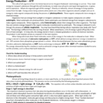 38 Cell Energy Worksheet Answers Worksheet Source 2021