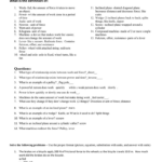 40 Best Collections Work Power And Simple Machines Worksheet Answers