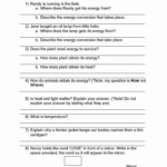 50 Energy Transformation Worksheet Middle School In 2020 Middle