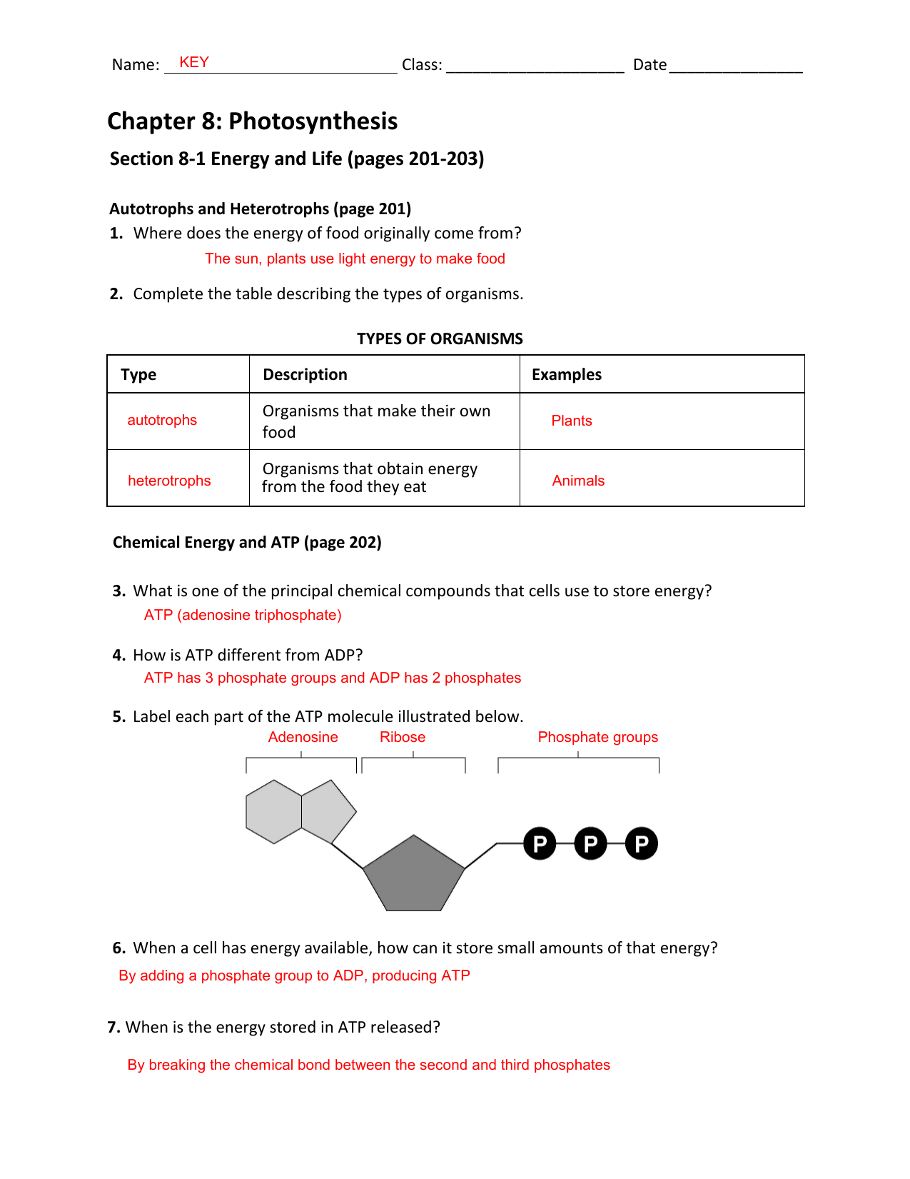 8 1 Energy And Life Worksheet Answer Key Worksheet