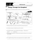 8th Grade Science Energy Worksheets Worksheets Master