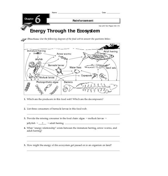 8th Grade Science Energy Worksheets Worksheets Master