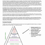 Answer Key Energy Flow In Ecosystems Worksheet Answers Worksheet