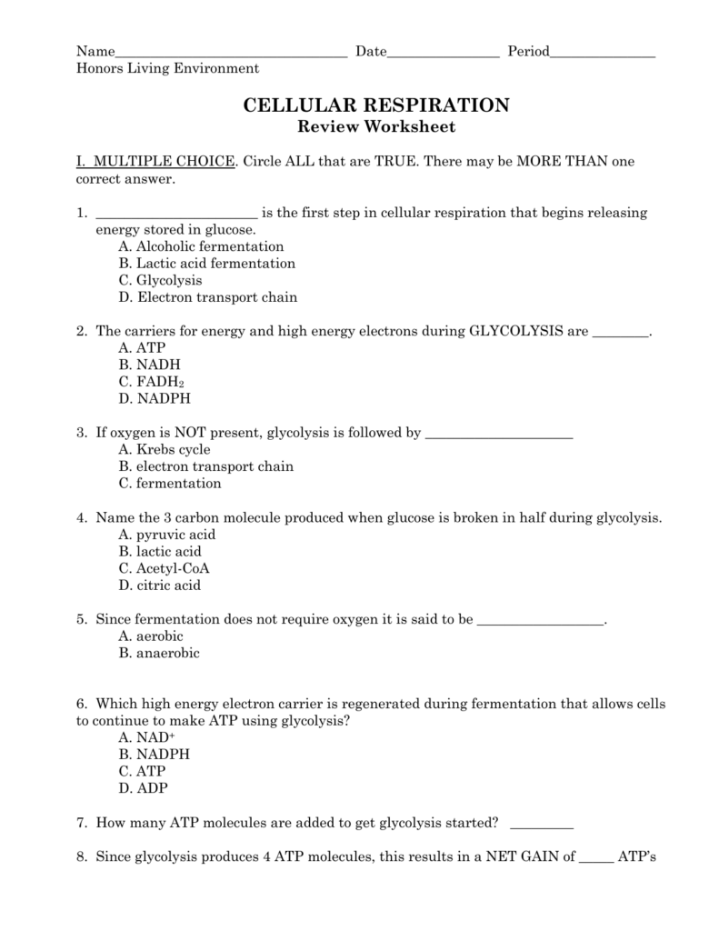 Atp Formation Worksheet 8 Answers Nidecmege