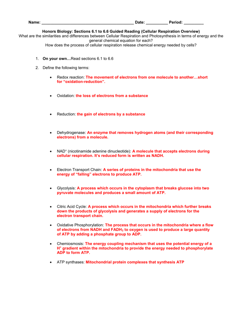 Atp The Cells Energy Molecule Worksheet Answers Wasfa Blog
