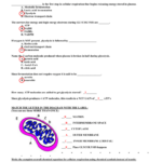 Atp Worksheet Answer Key Nidecmege