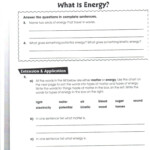 Bill Nye Biodiversity Worksheet Answers