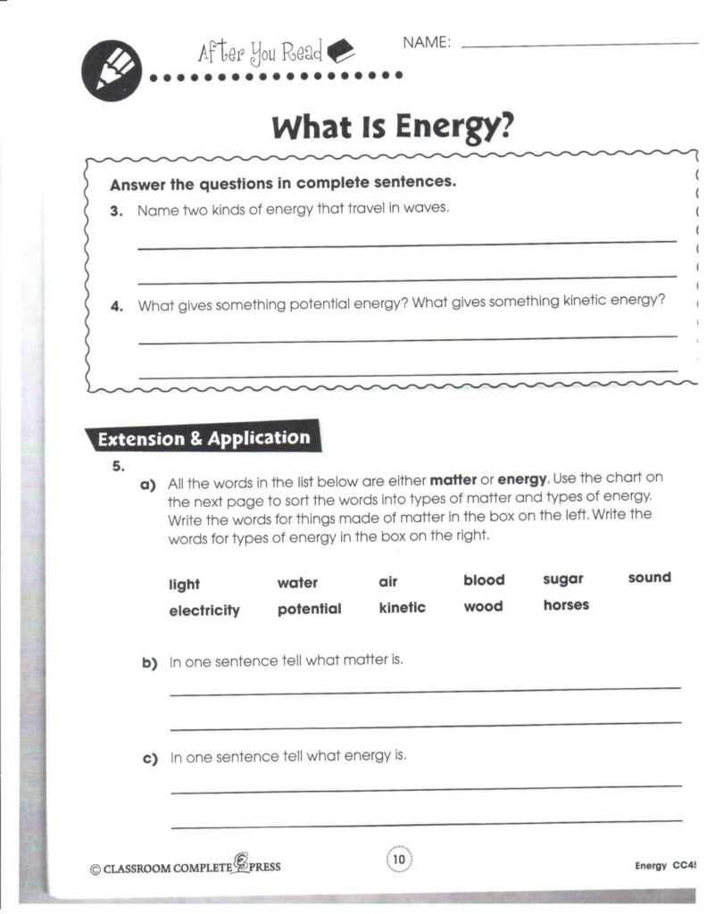 Bill Nye Biodiversity Worksheet Answers