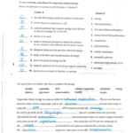 Biology Chemical And Atp Study Guide Fastpowerspice