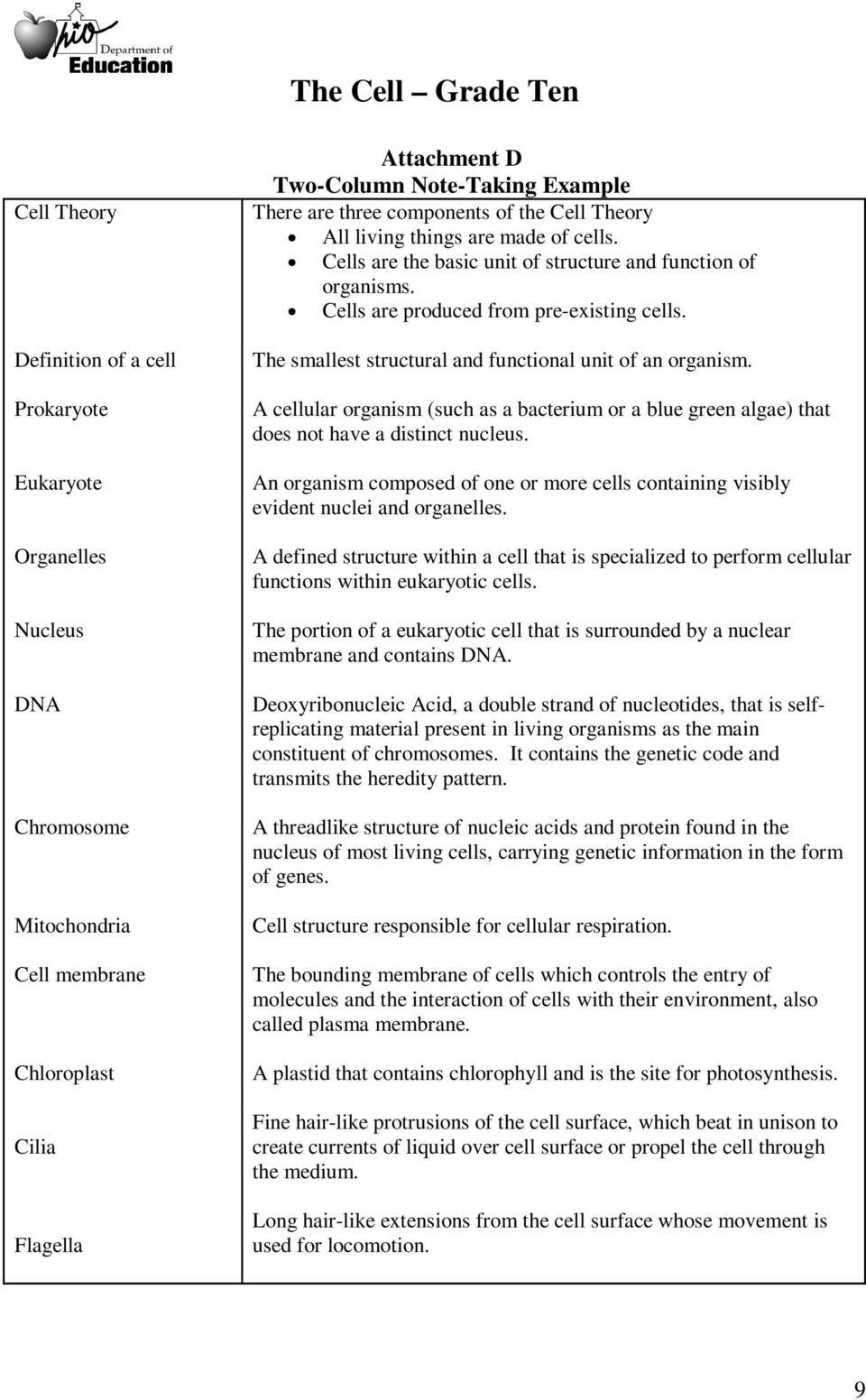 Cell Theory Worksheet 7th Grade Cell Theory Definition Deute In 2020 