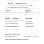 Cellular Energy Cell Growth And Division Review Worksheet