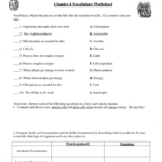 Cellular Respiration Breaking Down Energy Worksheet Db excel