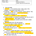 Cellular Respiration Fermentation Worksheet Answer Key 1