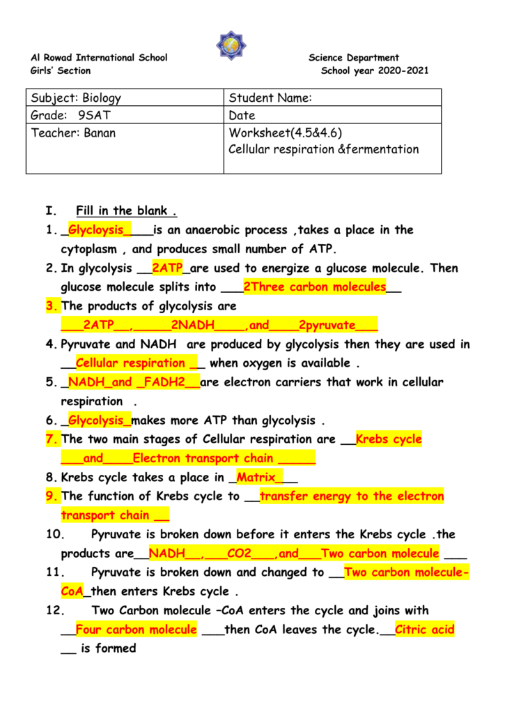 Cellular Respiration Fermentation Worksheet Answer Key 1 