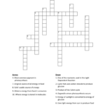 Chapter 10 Energy In A Cell Worksheet Answers Nidecmege