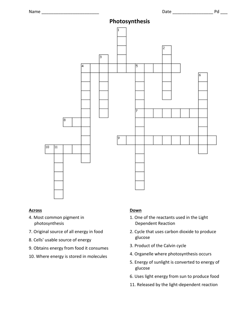 Chapter 10 Energy In A Cell Worksheet Answers Nidecmege