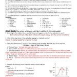 Chapter 18 Reaction Rates And Equilibrium Worksheet Answers Worksheet