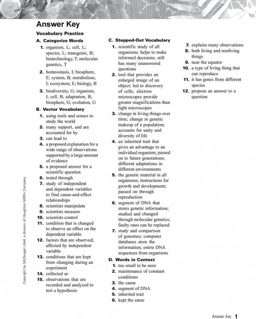 Chapter 4 Cells And Energy Vocabulary Practice Worksheet Answer Key 