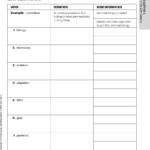 Chapter 4 Cells And Energy Vocabulary Practice Worksheet Answer Key