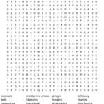 Chapter 6 Metabolism Energy And Enzymes Word Search WordMint