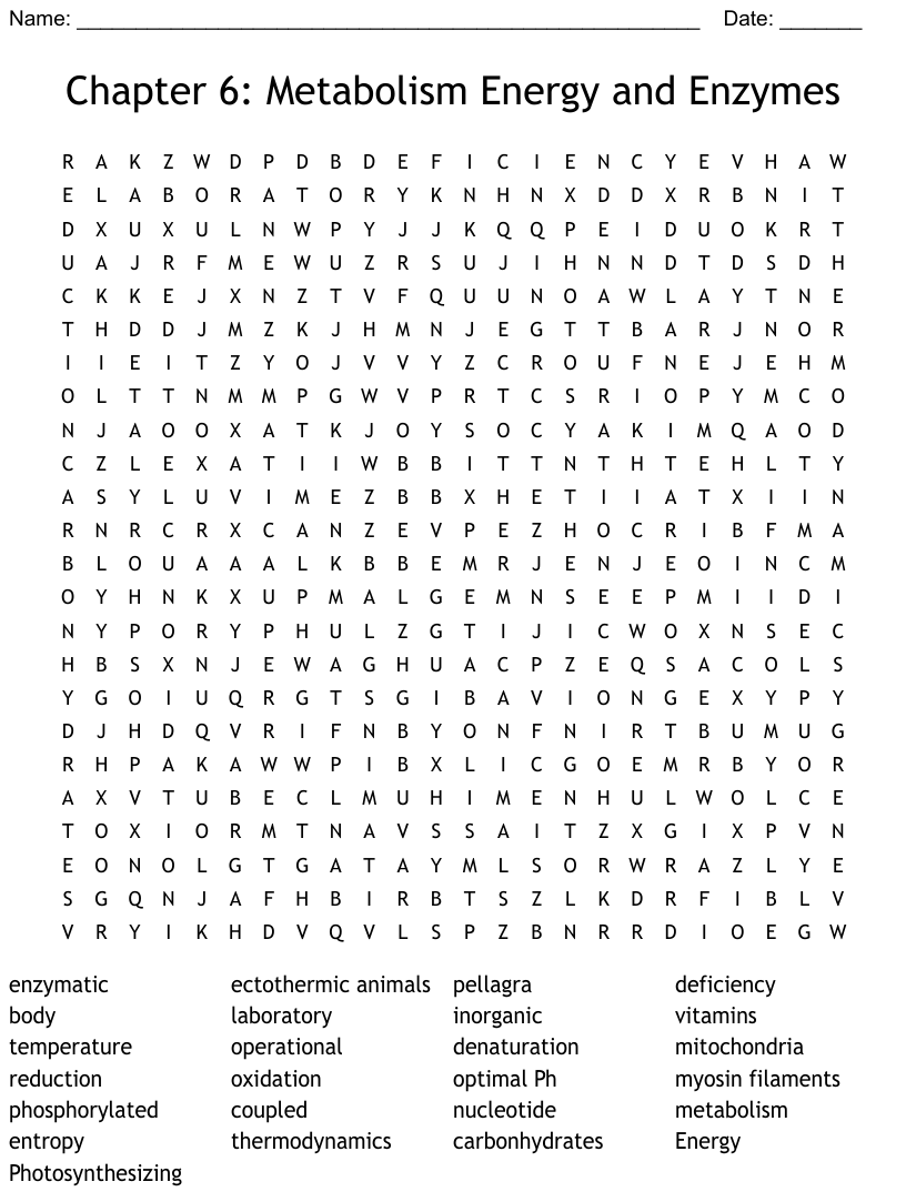 Chapter 6 Metabolism Energy And Enzymes Word Search WordMint