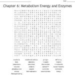 Chapter 6 Metabolism Energy And Enzymes Word Search WordMint