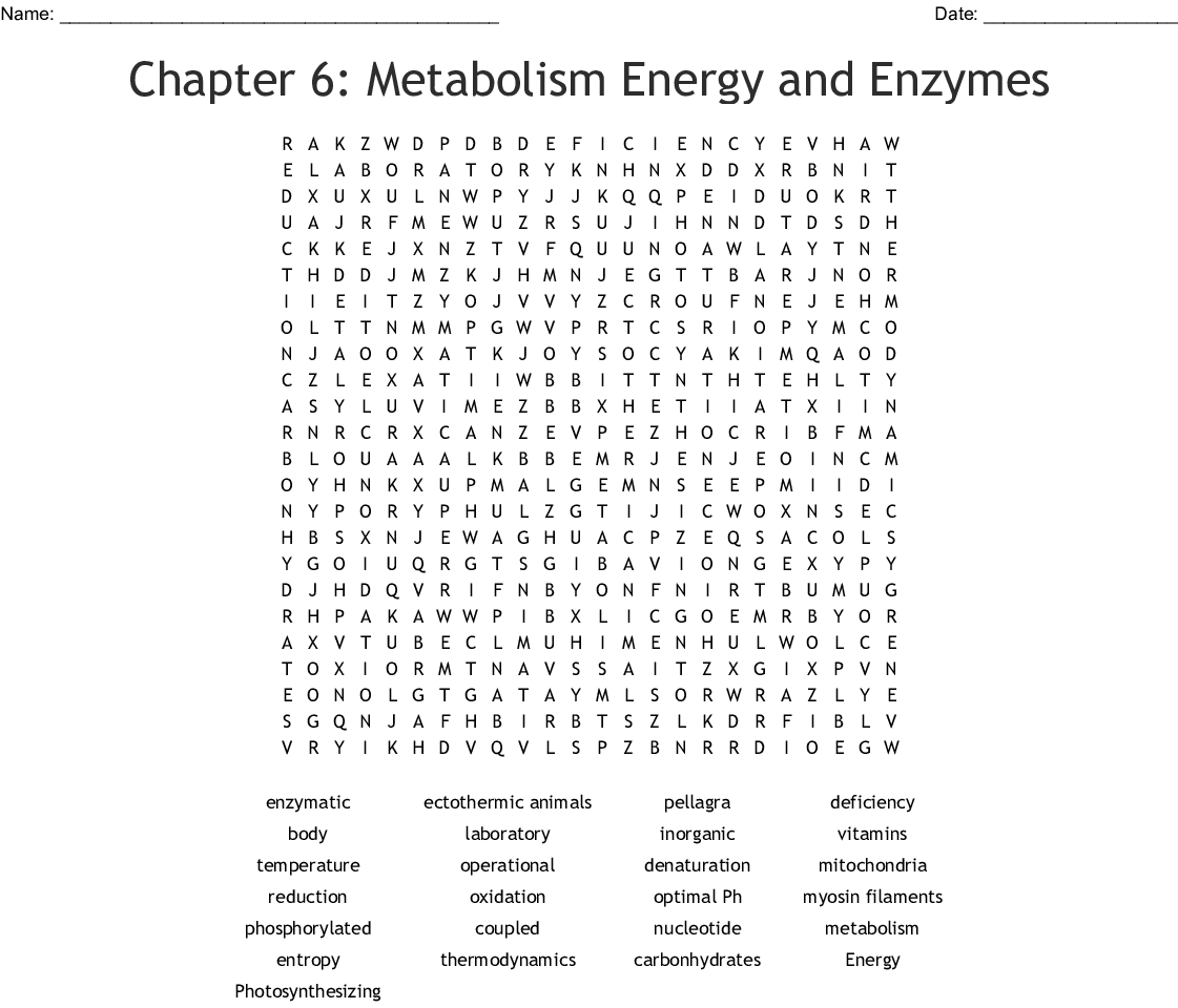 Chapter 6 Metabolism Energy And Enzymes Word Search WordMint