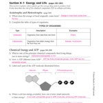 Chapter 8 Photosynthesis Te Db excel