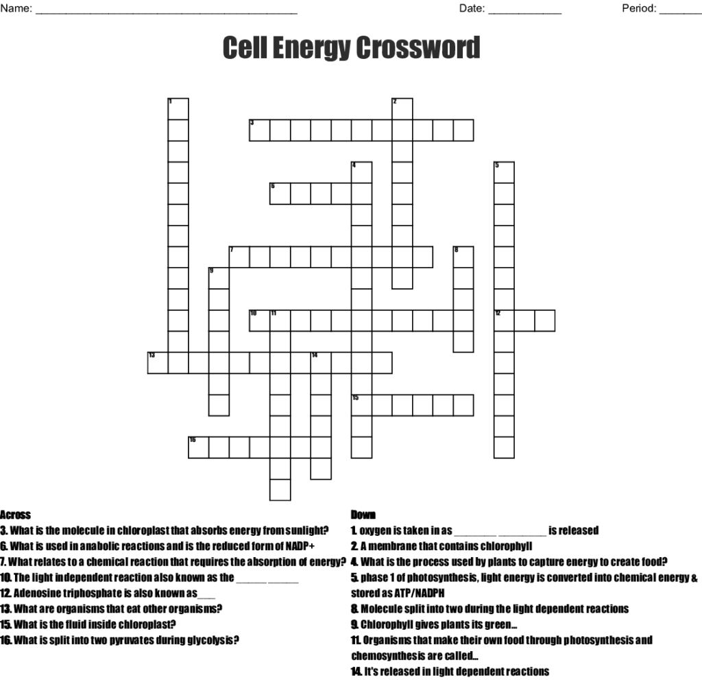 Chapter 9 Energy In A Cell Worksheet Answers Nidecmege