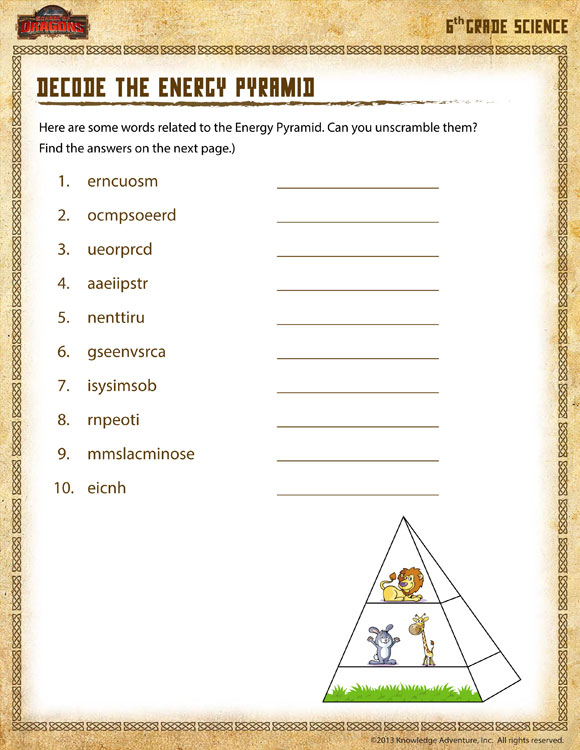 Decode The Energy Pyramid View 6th Grade Worksheets SoD