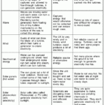 Directed Reading Solar Energy And The Atmosphere Answer Key LED Pedia