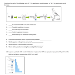 Energy Flow Food Chain Worksheet E