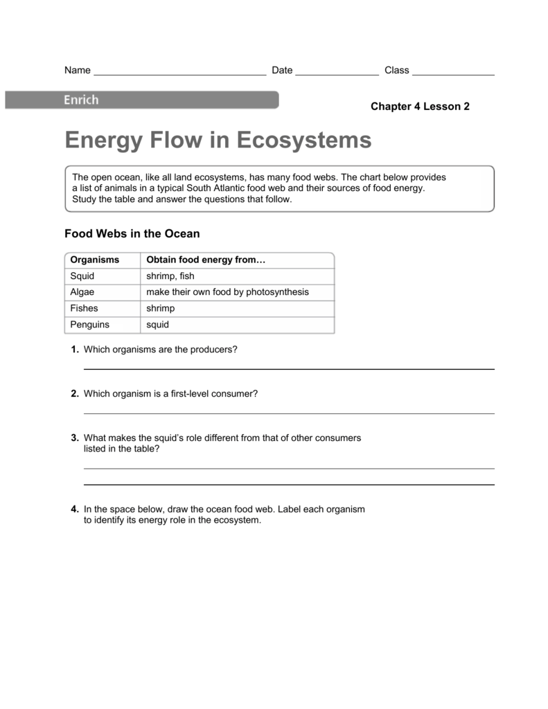 Energy Flow In Ecosystems Worksheet Answer Key Promotiontablecovers