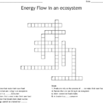 Energy Flow In Ecosystems Worksheet Answers Energy Flow In Ecosystems