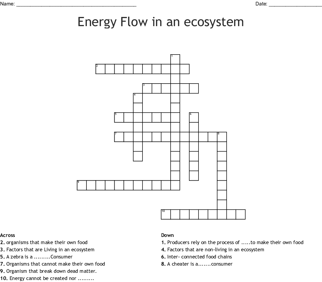 Energy Flow In Ecosystems Worksheet Answers Energy Flow In Ecosystems 