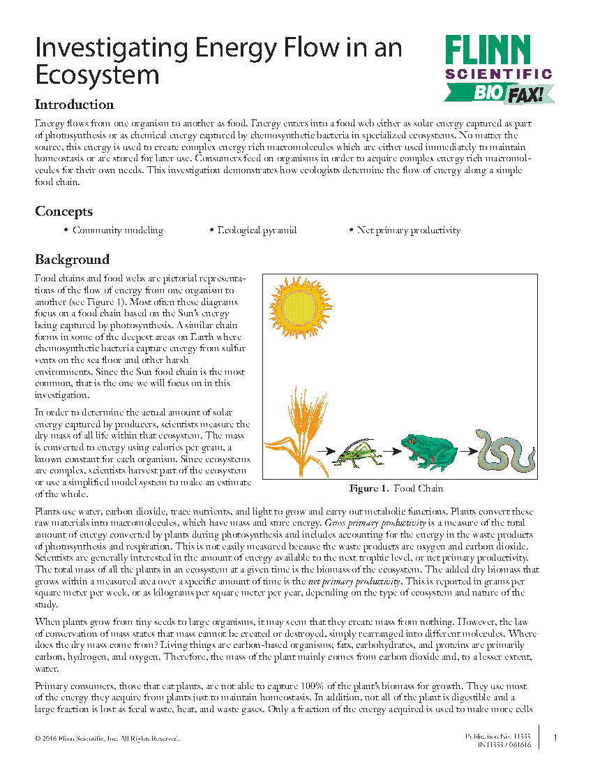 Energy Flow In Ecosystems Worksheet Worksheet