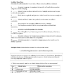 Energy Flow In Living Things Worksheet Db excel