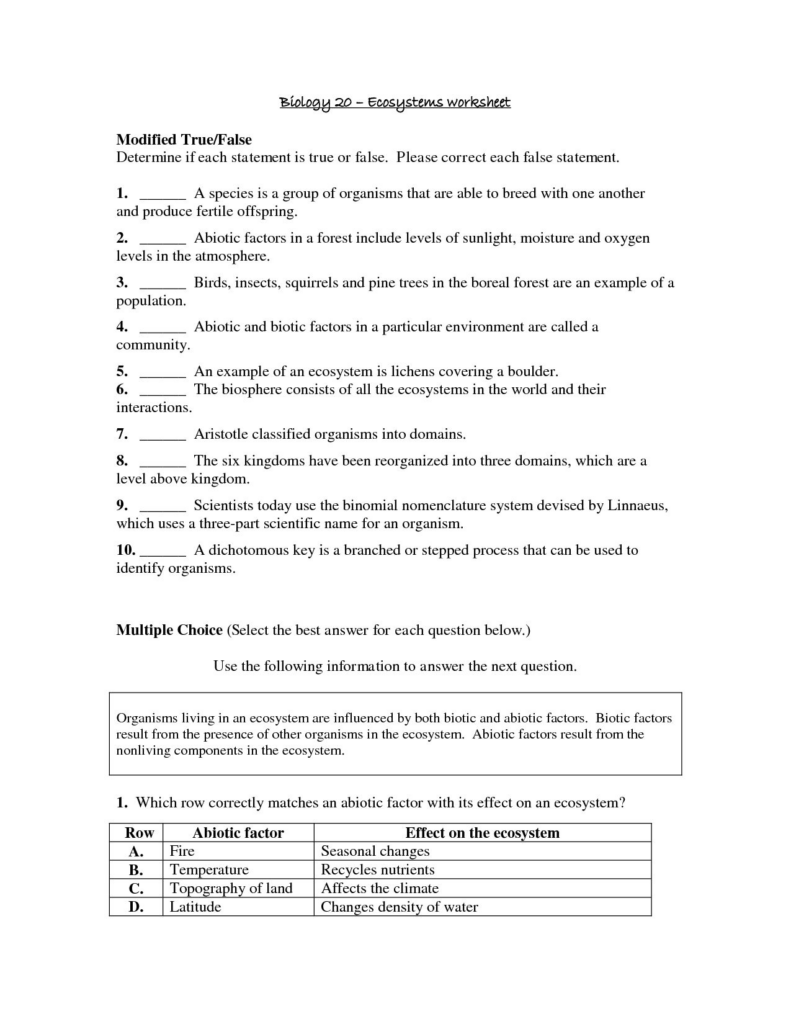 Energy Flow In Living Things Worksheet Db excel