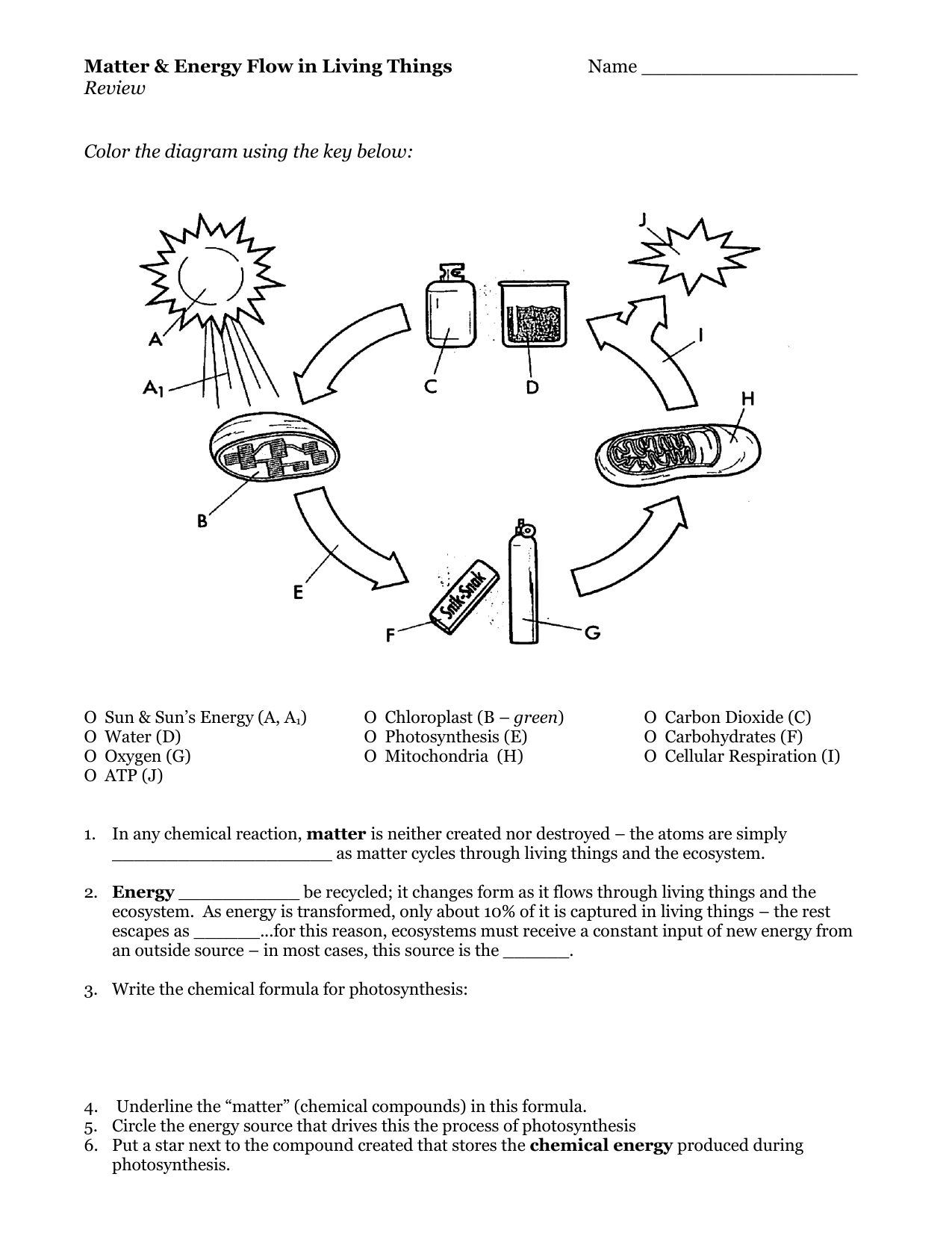 Energy Flow In Living Things Worksheet Db excel